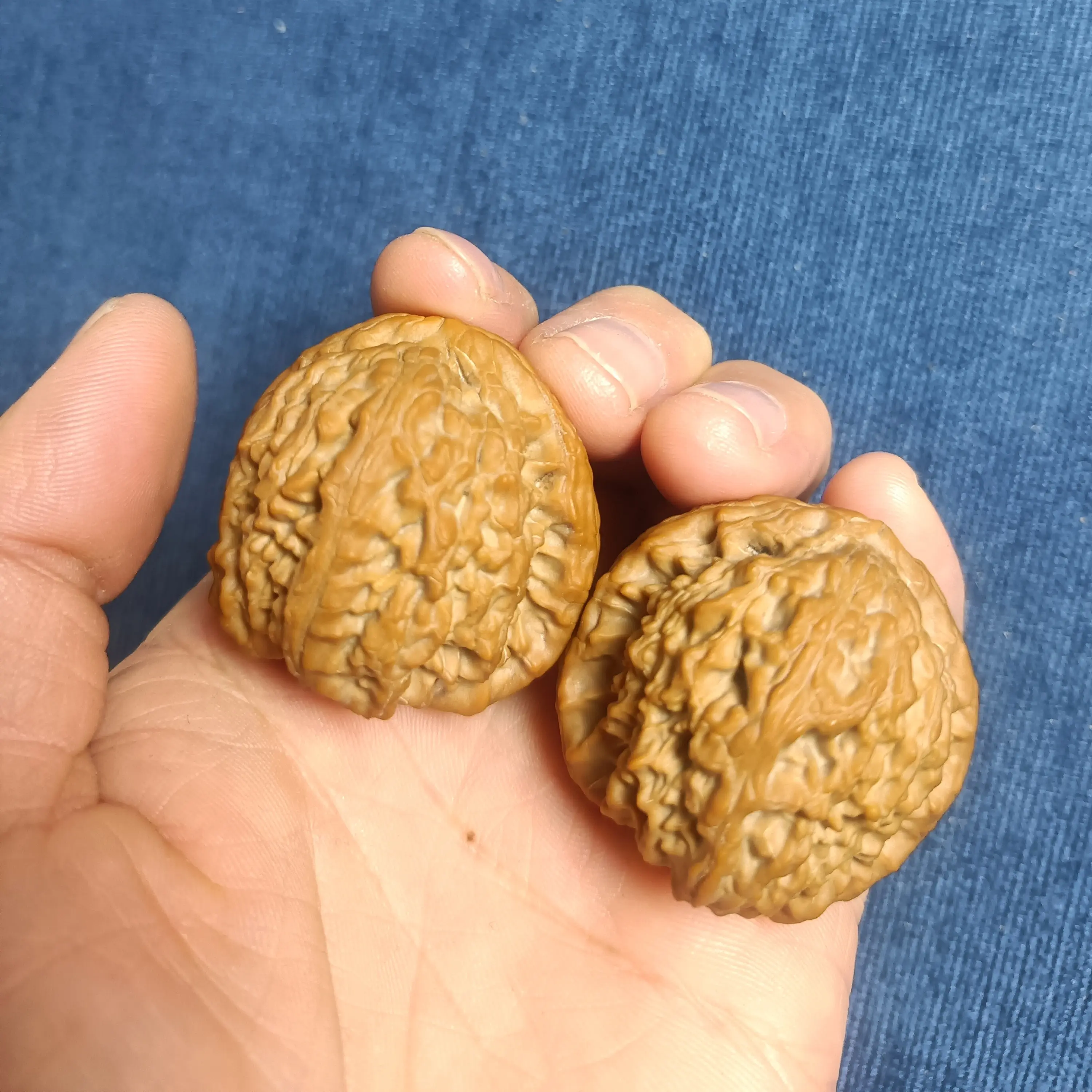 文玩核桃专属链接