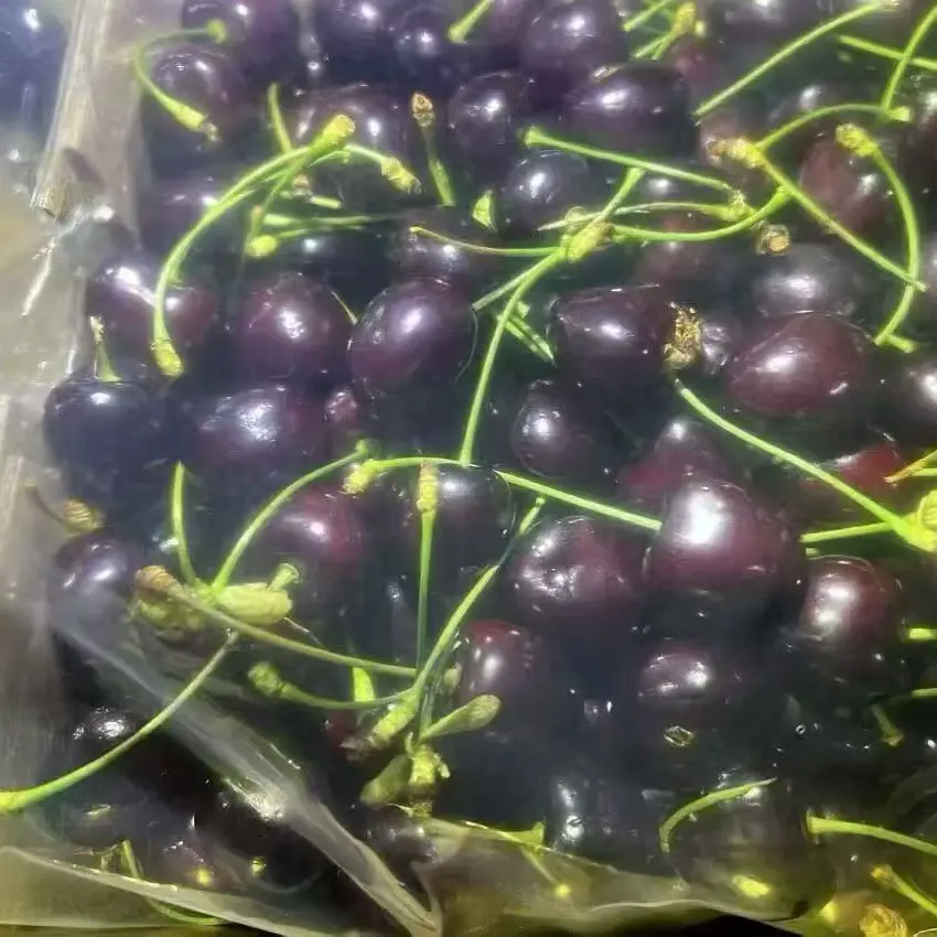 空运智利科迪亚车厘子J - 5J内附果径卡顺丰包邮次日达