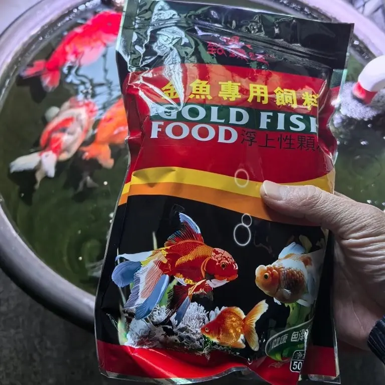 金鱼锦鲤通用上浮不浑水高蛋白小颗粒鱼粮