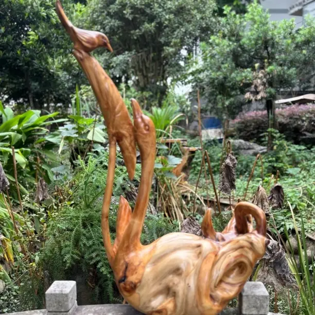 崖柏料天然雕刻天鹅