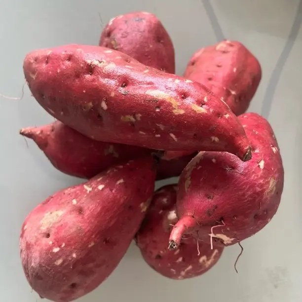 混合装现挖现发板粟红薯冰淇淋红薯软糯香甜口感细腻的粗粮烤地瓜