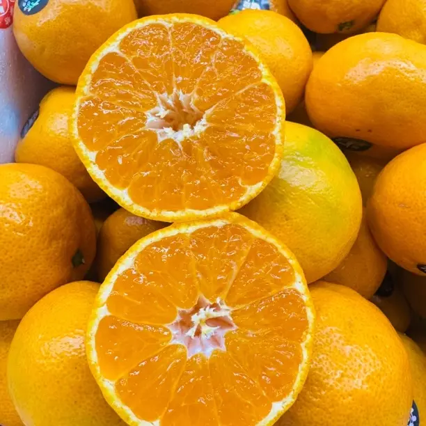 （简装）爆橘，每箱2.8-3斤，福建