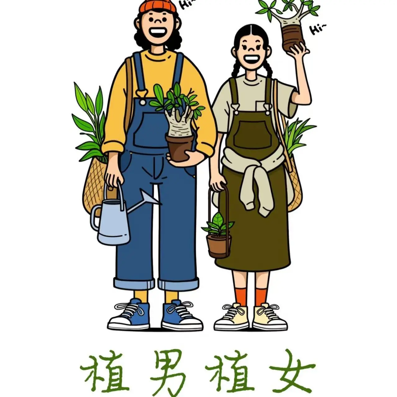 蟆叶类秋海棠一物一拍（室内养护）