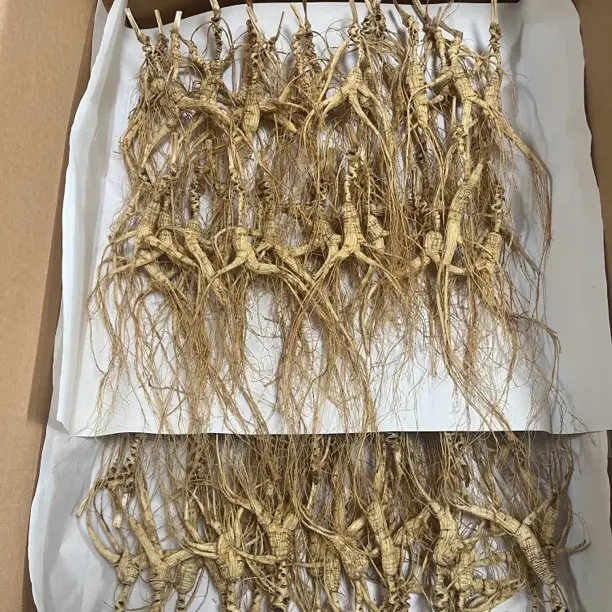 林下参 泡茶泡水 泡酒煲汤 参味浓郁