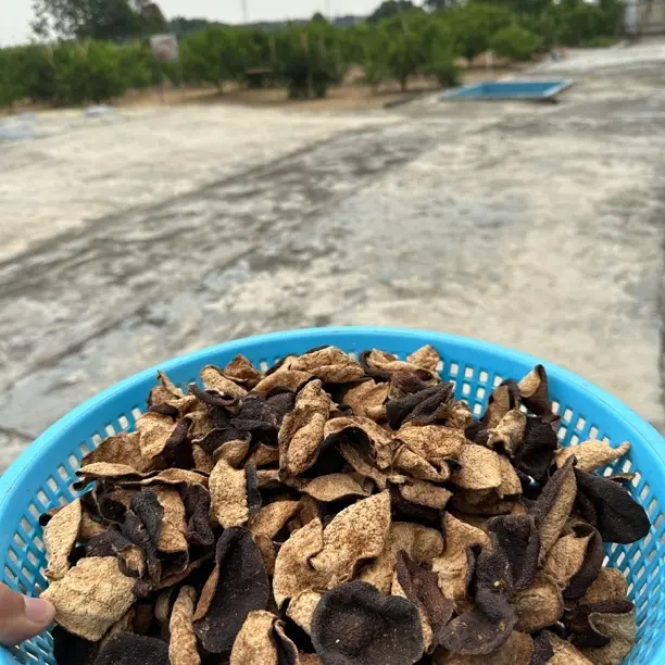 [西甲碎皮]2018年西甲圈枝二红碎皮单片，陈香回甘，性价比高