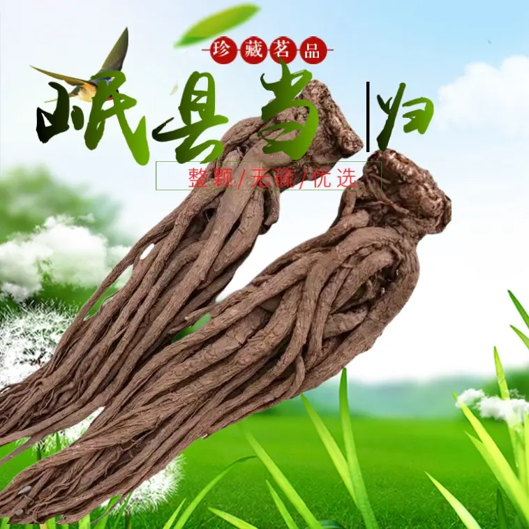 岷县深山当归干货整颗自然晾晒无硫滋补当归产地直销正宗岷县当归