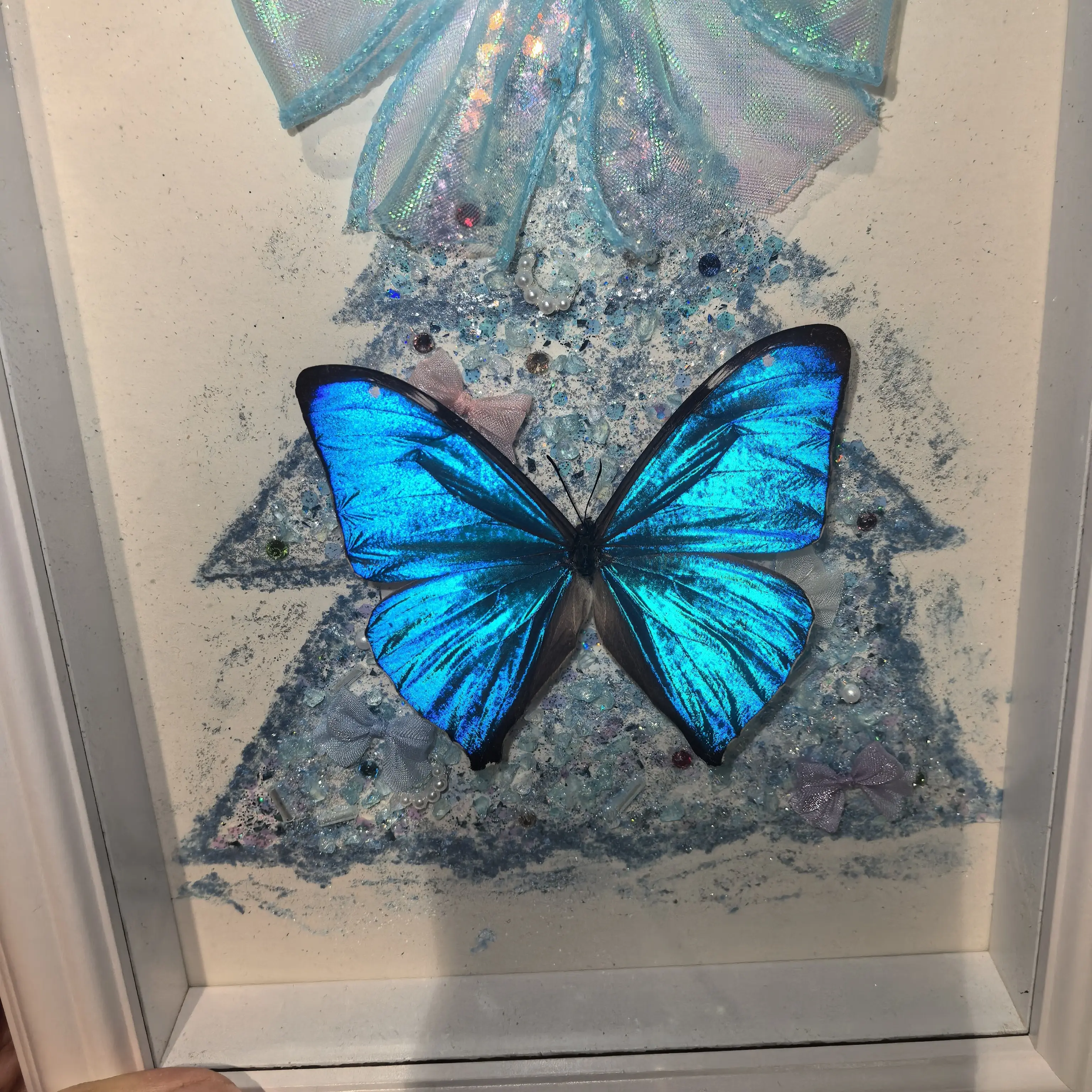 小蓝闪蝶真蝴蝶圣诞标本适合送女生的生日礼物家居