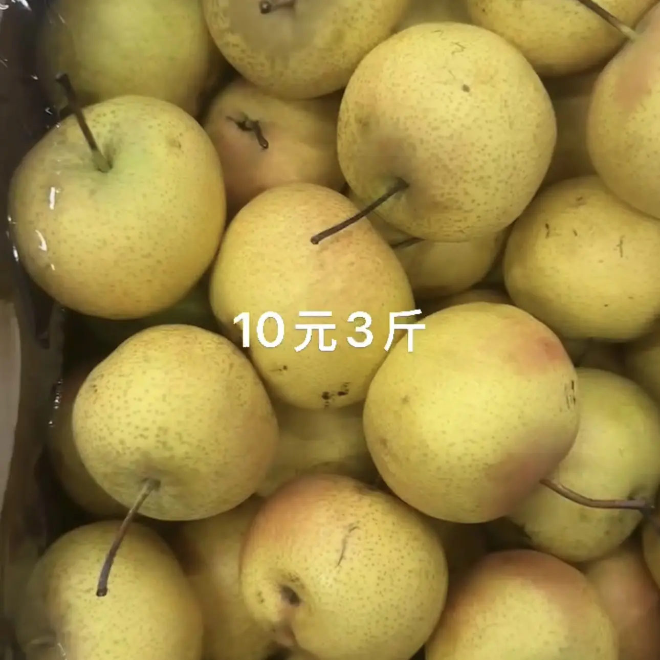 东北特产新鲜南果梨香甜多汁软糯