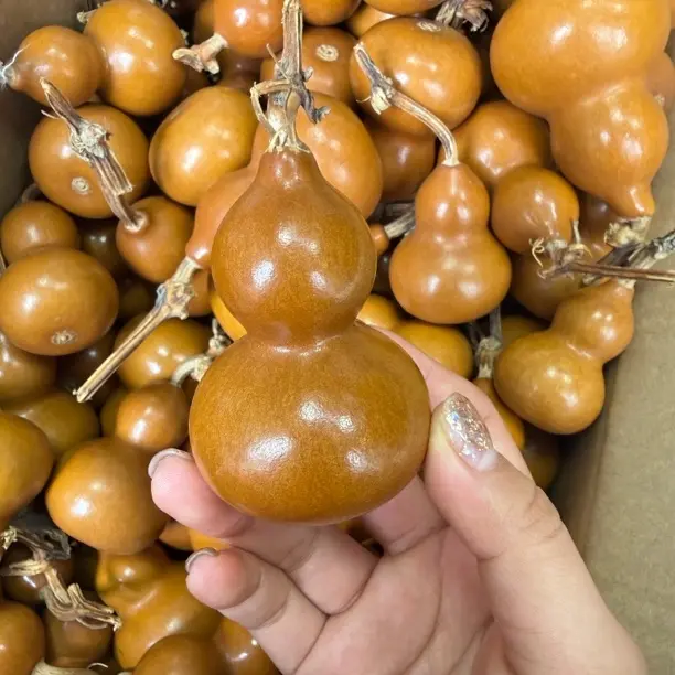 天然小葫芦手把件（一物一拍）