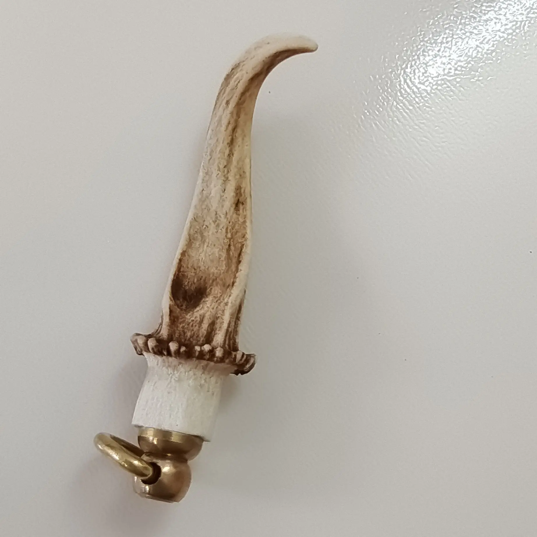 收藏爱好者，手盘小角！