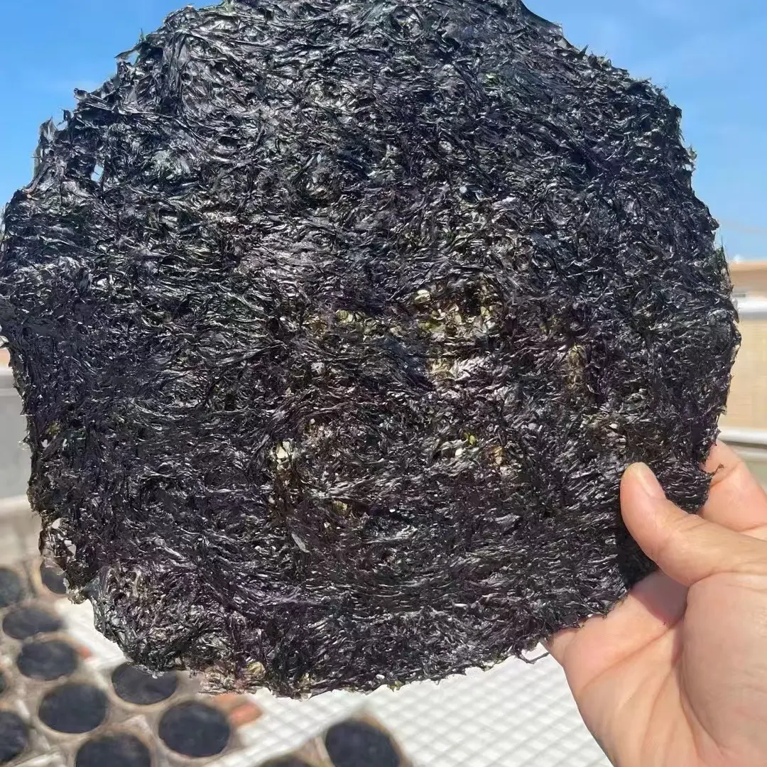 汕尾红海湾本港头水紫菜干货免洗无沙新鲜美味特产