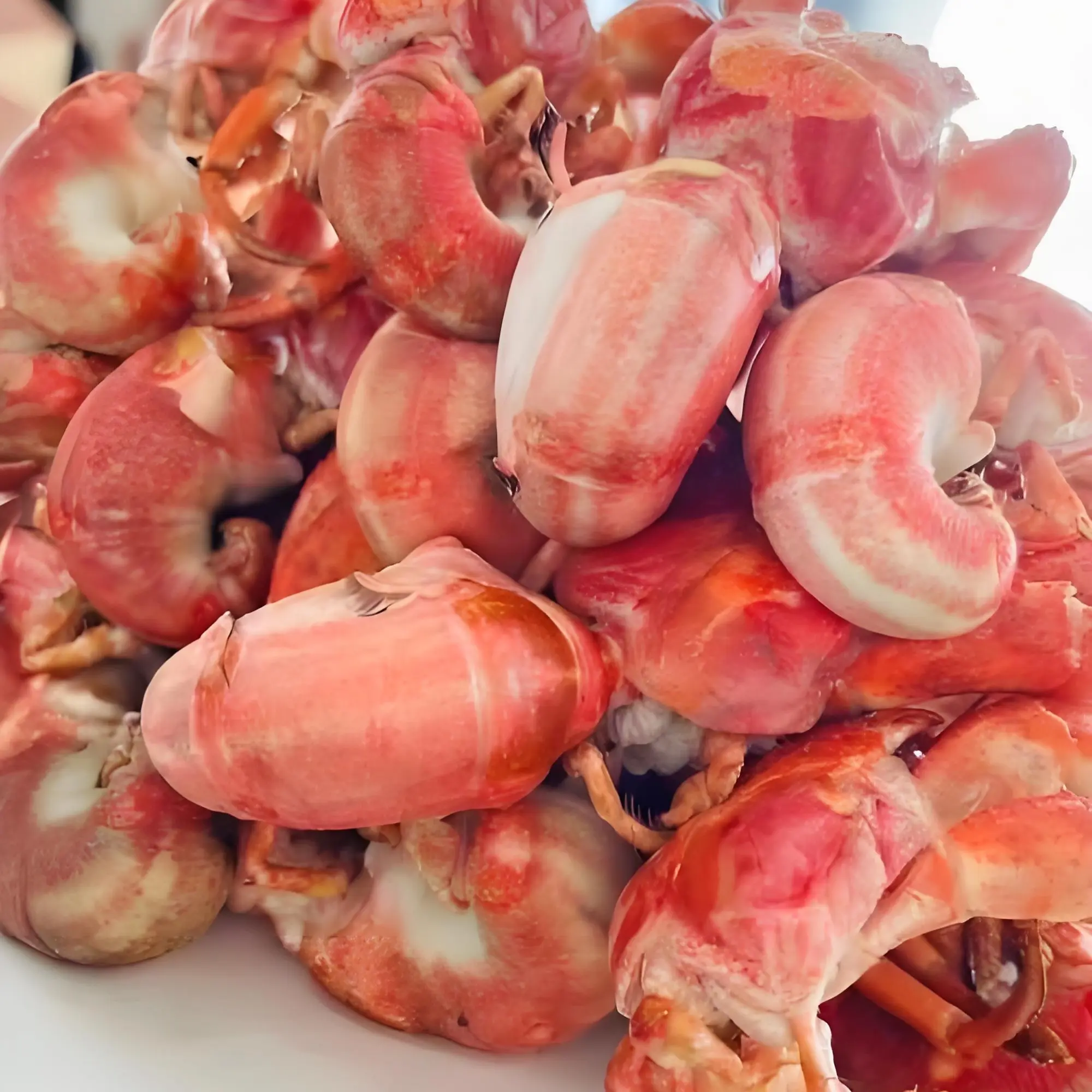 【保鲜不保活】威海石岛带壳虾怪寄居蟹 精挑大号鲜活发货