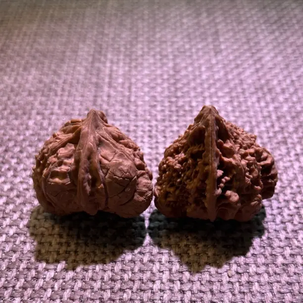 满天星天然异行十年前老核桃