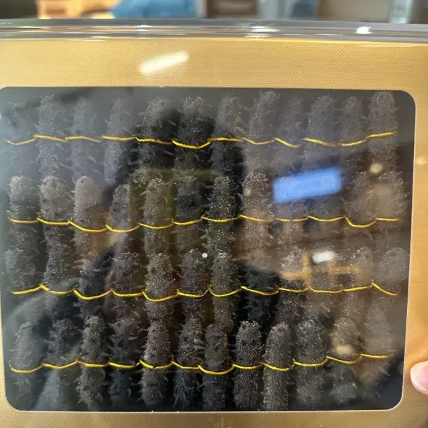 【小舟优选】特级大连辽刺参速发淡干海参干货