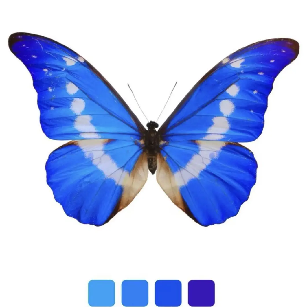 铜合金玻璃吊坠 铜合金玻璃吊坠 真蝴蝶宝石面DIY