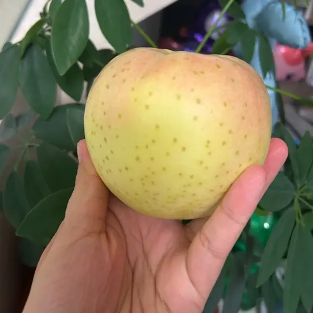 王林苹果青苹果新鲜水果香甜脆爽当季美味