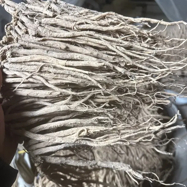 甘肃渭源县白条党参（特小）七成干自然晒干可煲汤泡水煮粥滋补