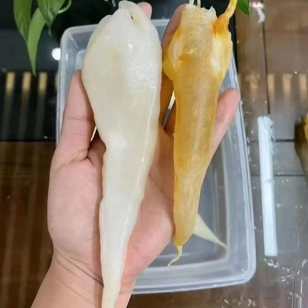 北海公筒鱼胶干货深海花胶厚肉足干孕妇滋补品干货正品