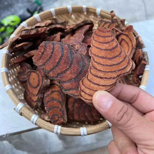 广西深山老林鸡血藤正宗山货干片无烟薰泡茶煮水泡酒煲汤