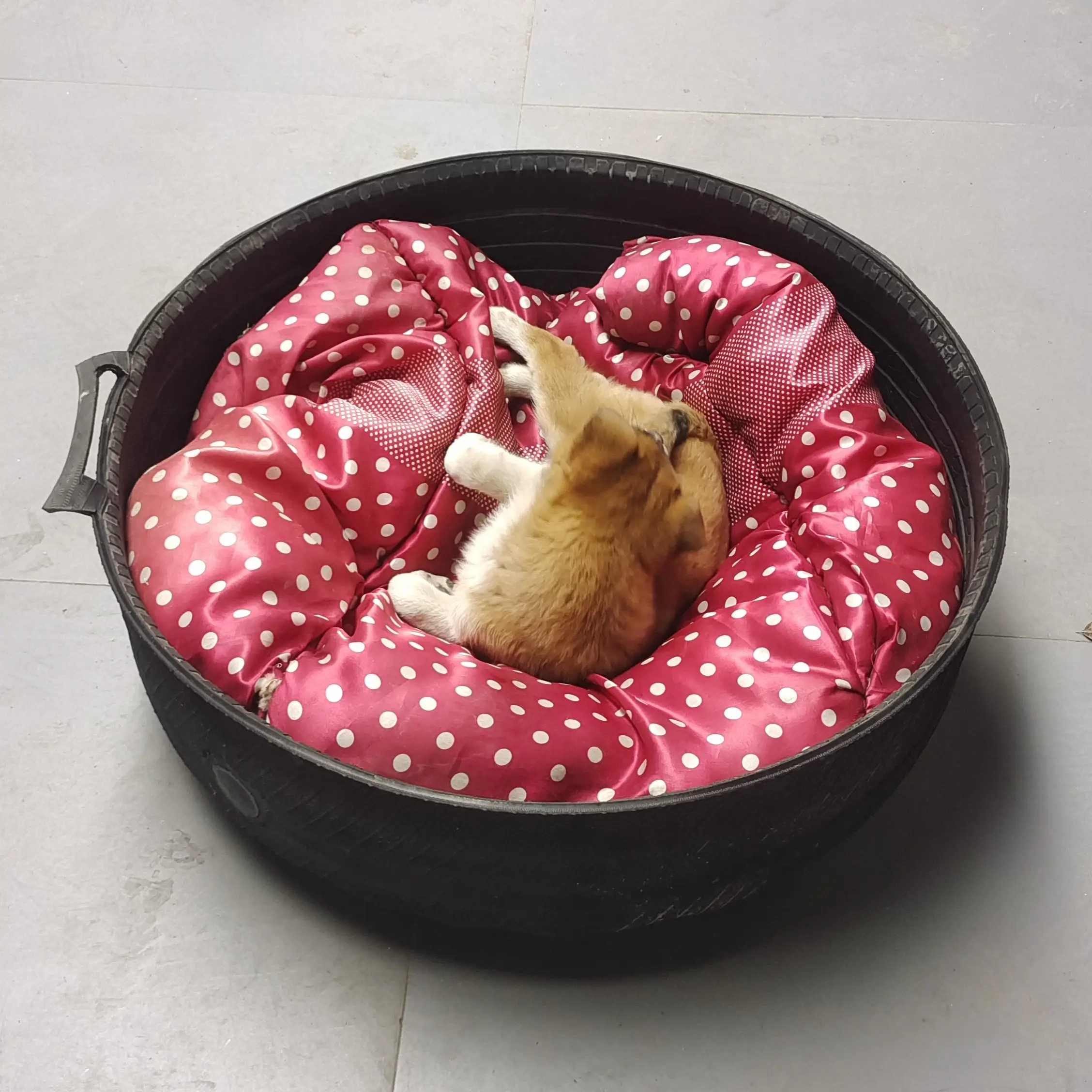 直径60㎝加厚橡胶轮胎狗窝猫狗通用四季适用结实耐咬封底