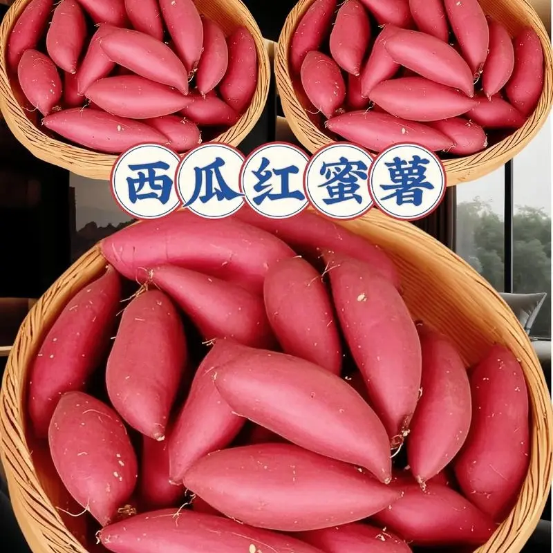【章庄严选】（西瓜红蜜薯）西乡高沙土新鲜现挖超甜黄心蜜薯地瓜红薯