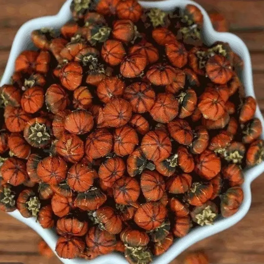 中缅山货-现收土特产/九~品~金~兰非香菇