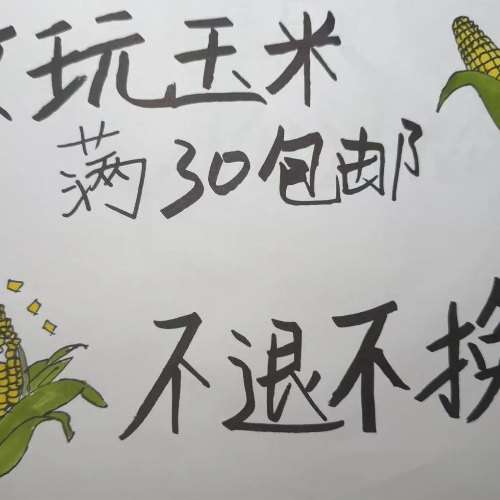 文玩玉米 一物一拍 不退不换