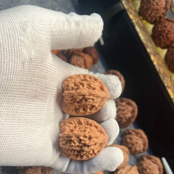 原生树水泉沟公子帽文玩核桃