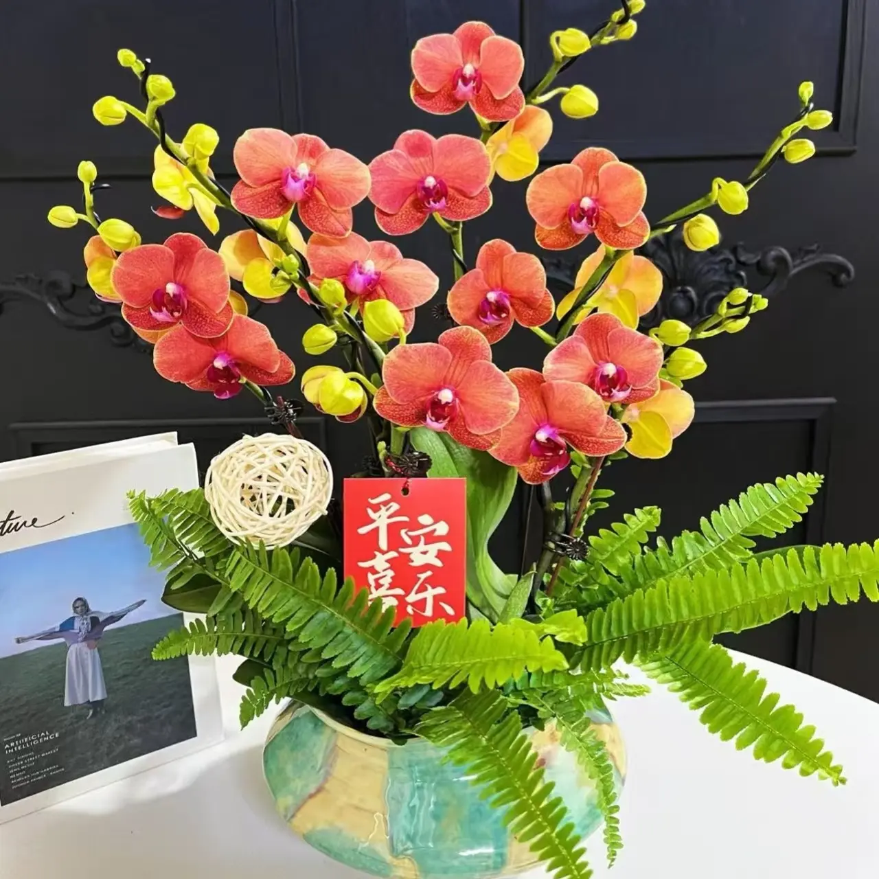 蝴蝶兰（金桔）稀有品种2.8寸杯带两个花剑