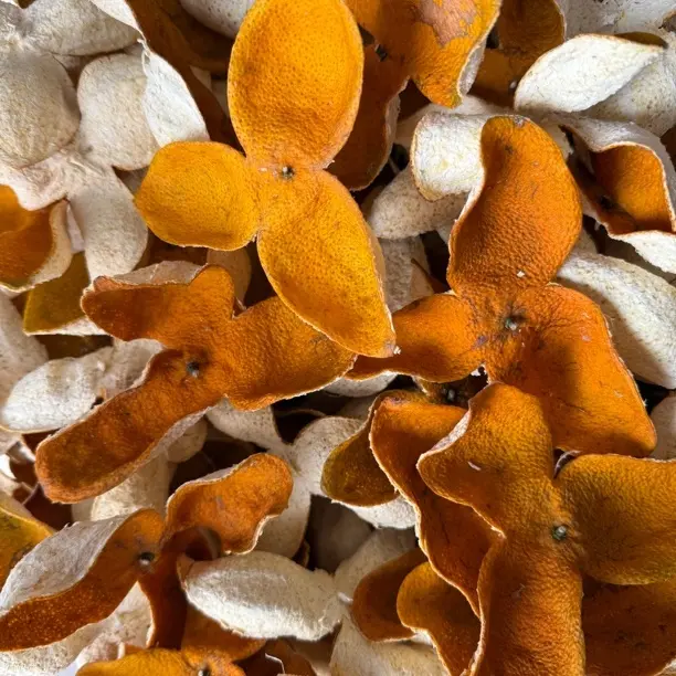 广西浦北2025年精品老树茶枝柑（陈皮原料）   