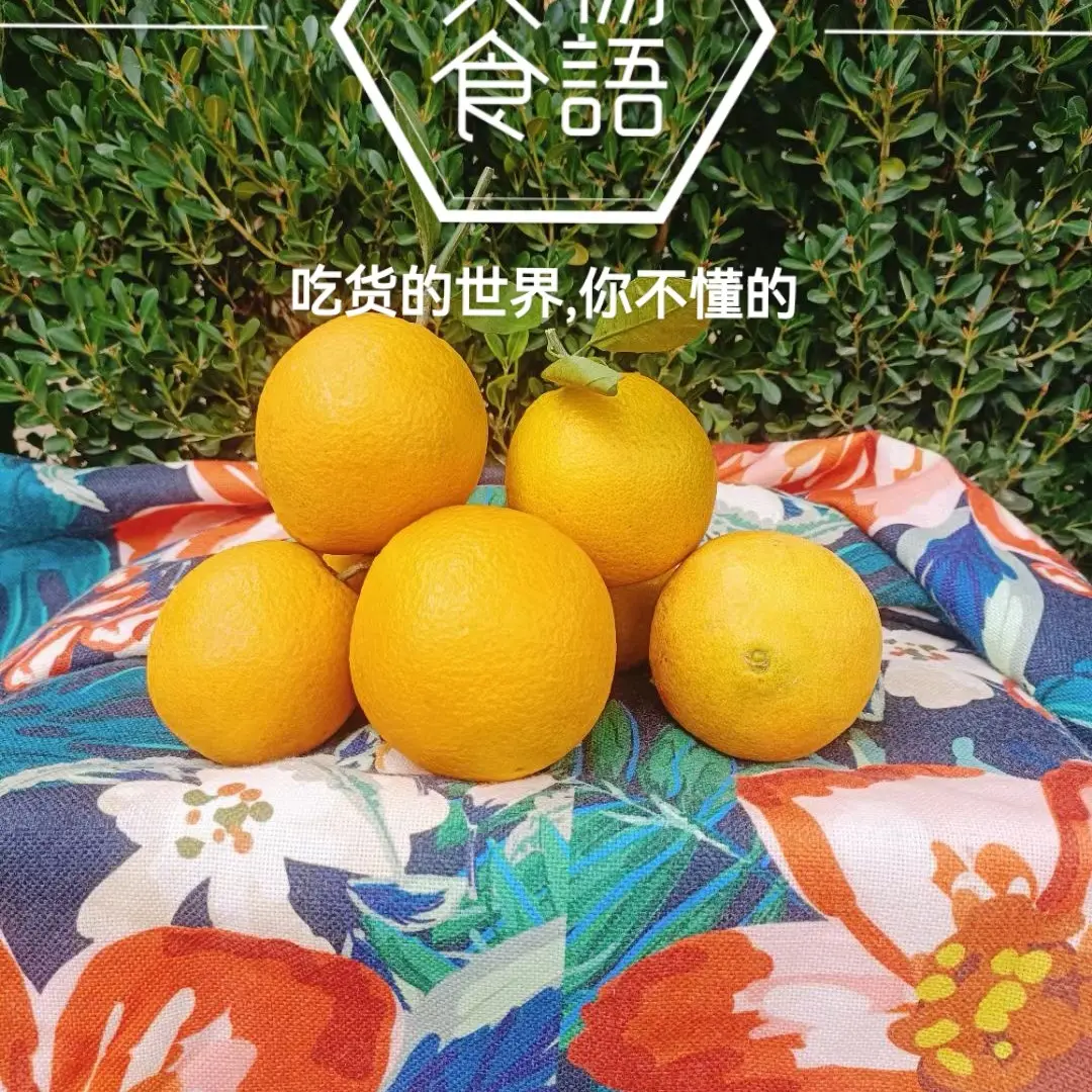 正宗富川脐橙礼盒果农现摘现卖产地直发老树果皮薄清甜浓香爆汁