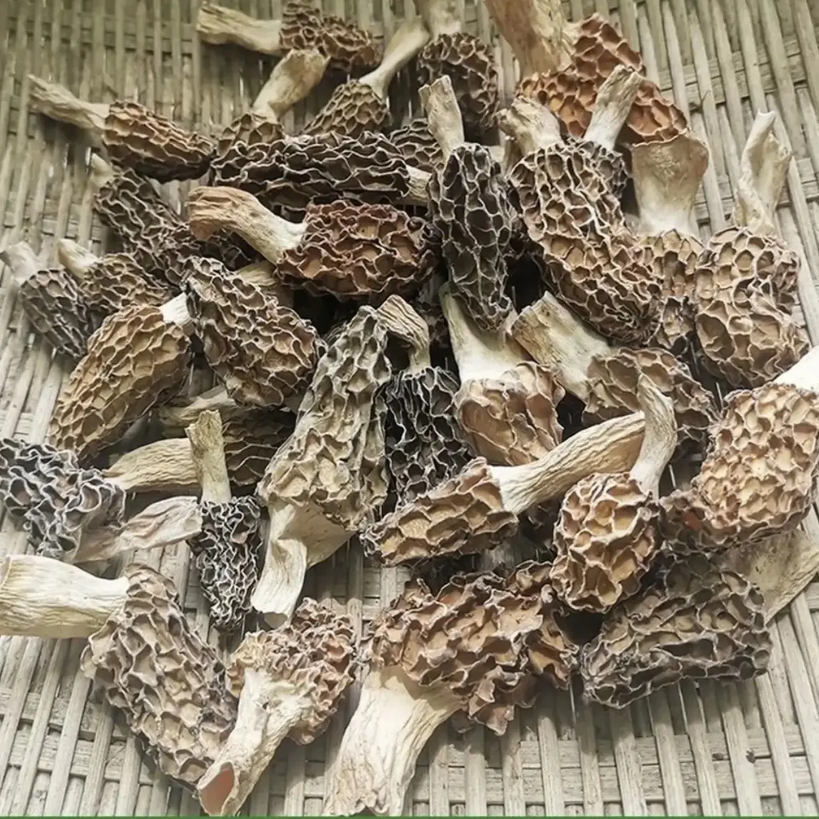云南深山羊肚菌 干货头茬无硫煲汤