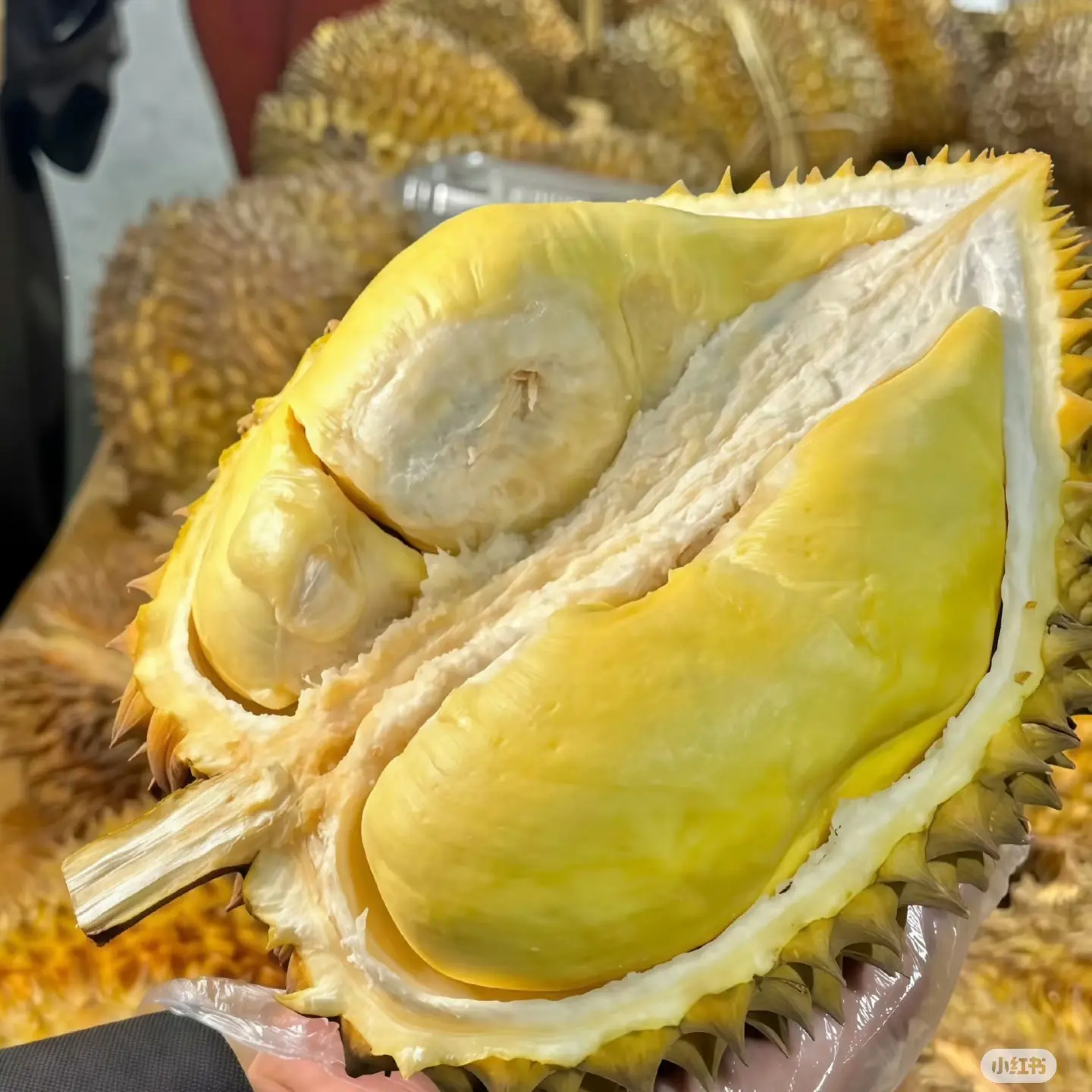进口金枕榴莲新鲜果泰国3斤大小适中 核小一果一拍多出部分按25.9/斤补差保熟保甜金枕泰国