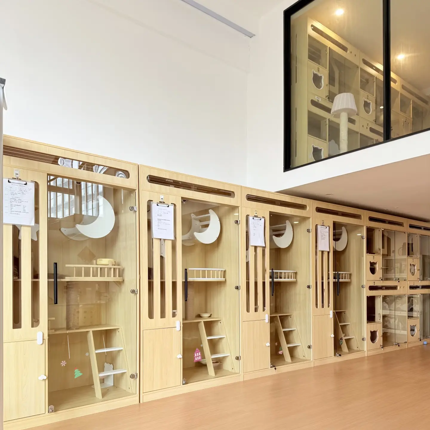 宠物寄养（40/天拉萨全城可接）