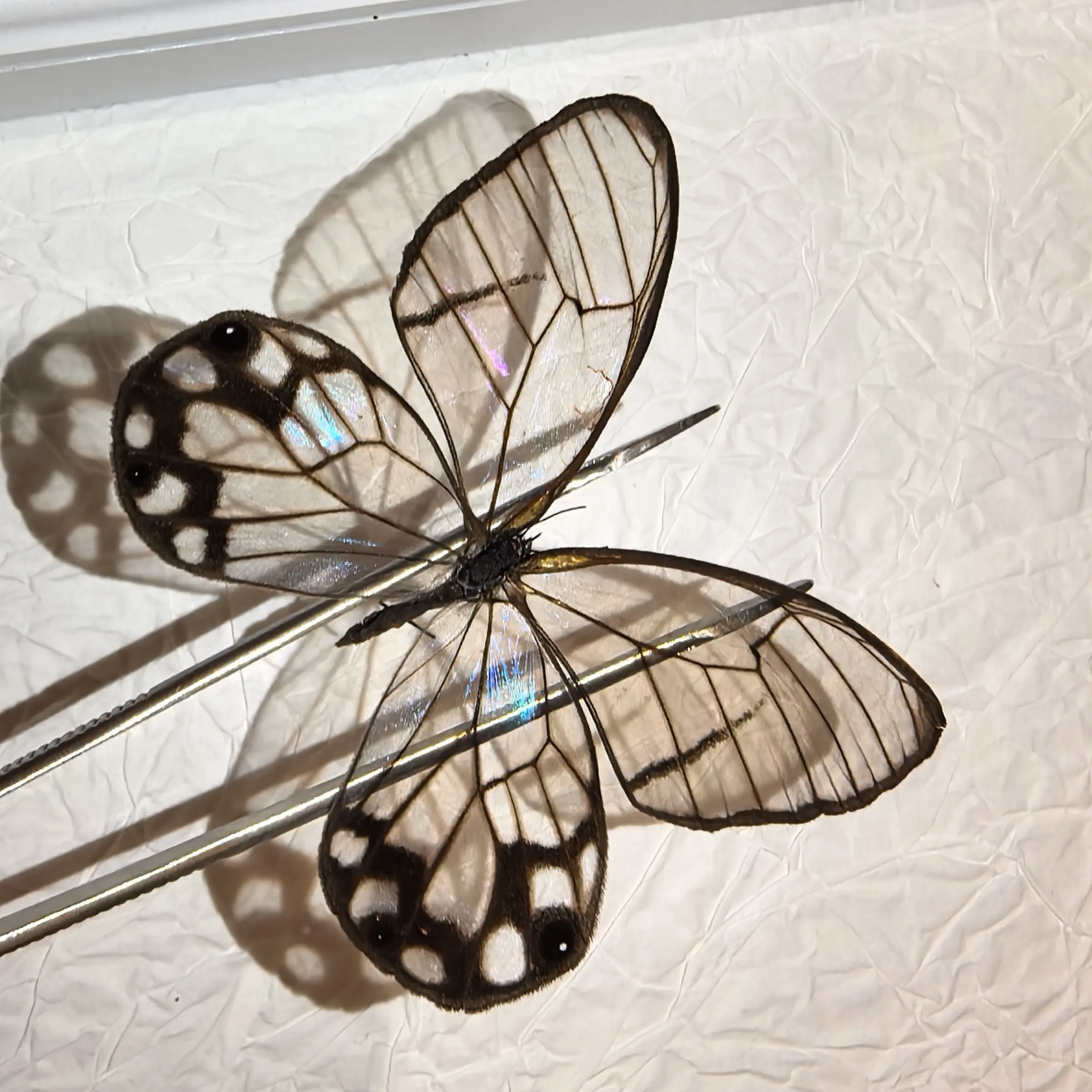 游戏链接，一局一拍