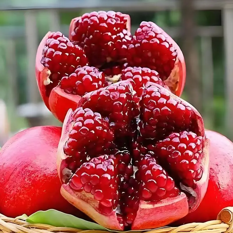 正宗四川会理石榴突尼斯软籽石榴当季新鲜水果现货现发爆甜多汁