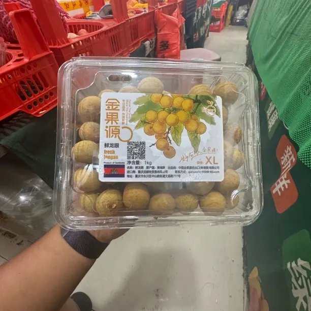 汁水充裕个大肉满龙眼柬埔寨龙眼盒装新鲜水果