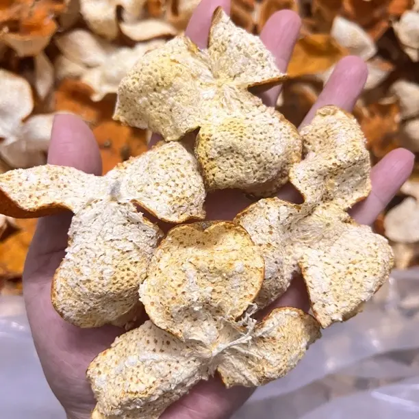 浦北老树陈皮小个头