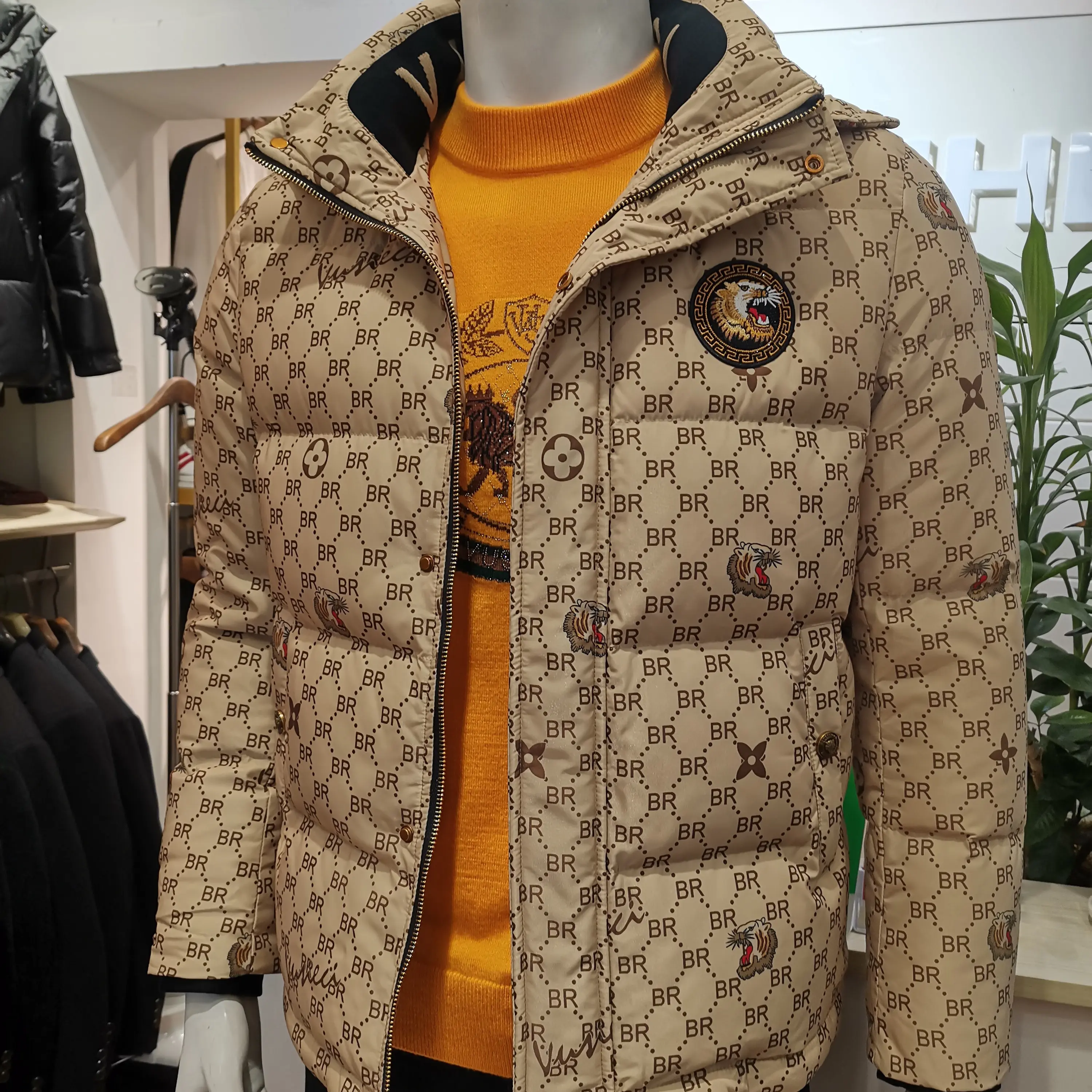 冬季新款男士立领加厚保暖白鸭绒潮流亮面刺绣高级感连帽羽绒外套