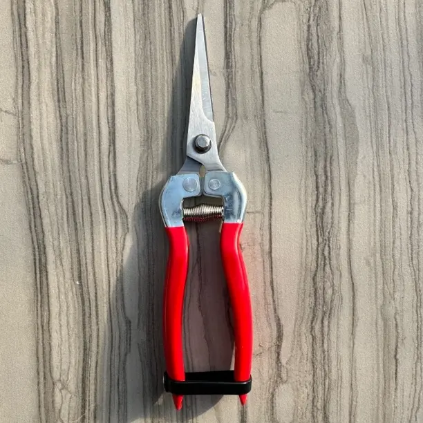 修枝剪摘果剪园艺工具花木果树修剪专用剪