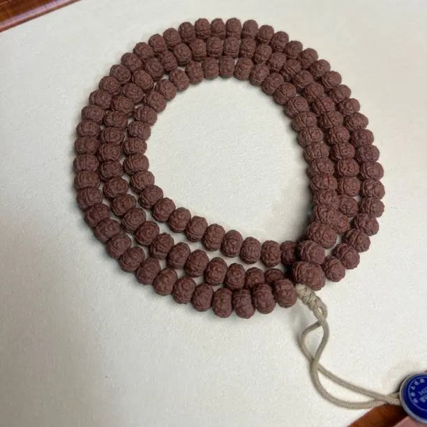 原皮纯血勿里达老树王108，订货，爆肉，小尺寸，很难得的一条。