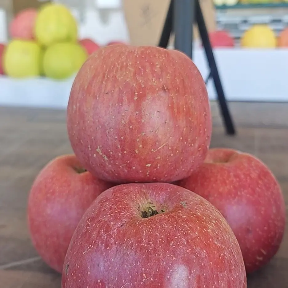 甘肃庆阳冰糖心丑苹果新鲜脆甜多汁正宗农家果