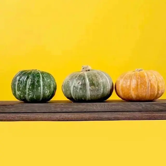 那园子叁色栗栗粉糯香甜板栗味可作宝宝辅食粗粮