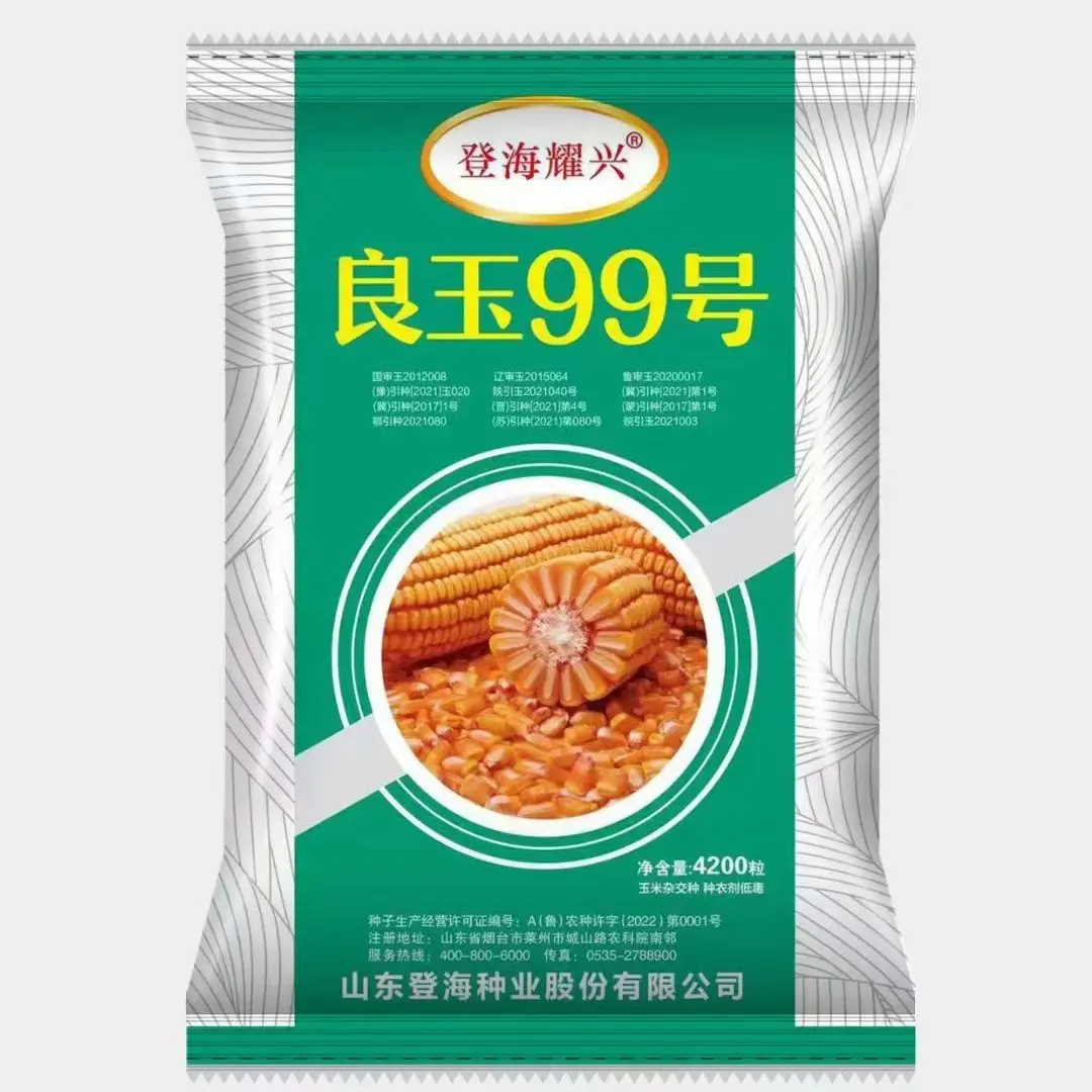 第六代亲本提纯升级版高产国审玉米种子抗倒抗锈抗病抗旱大棒双胞