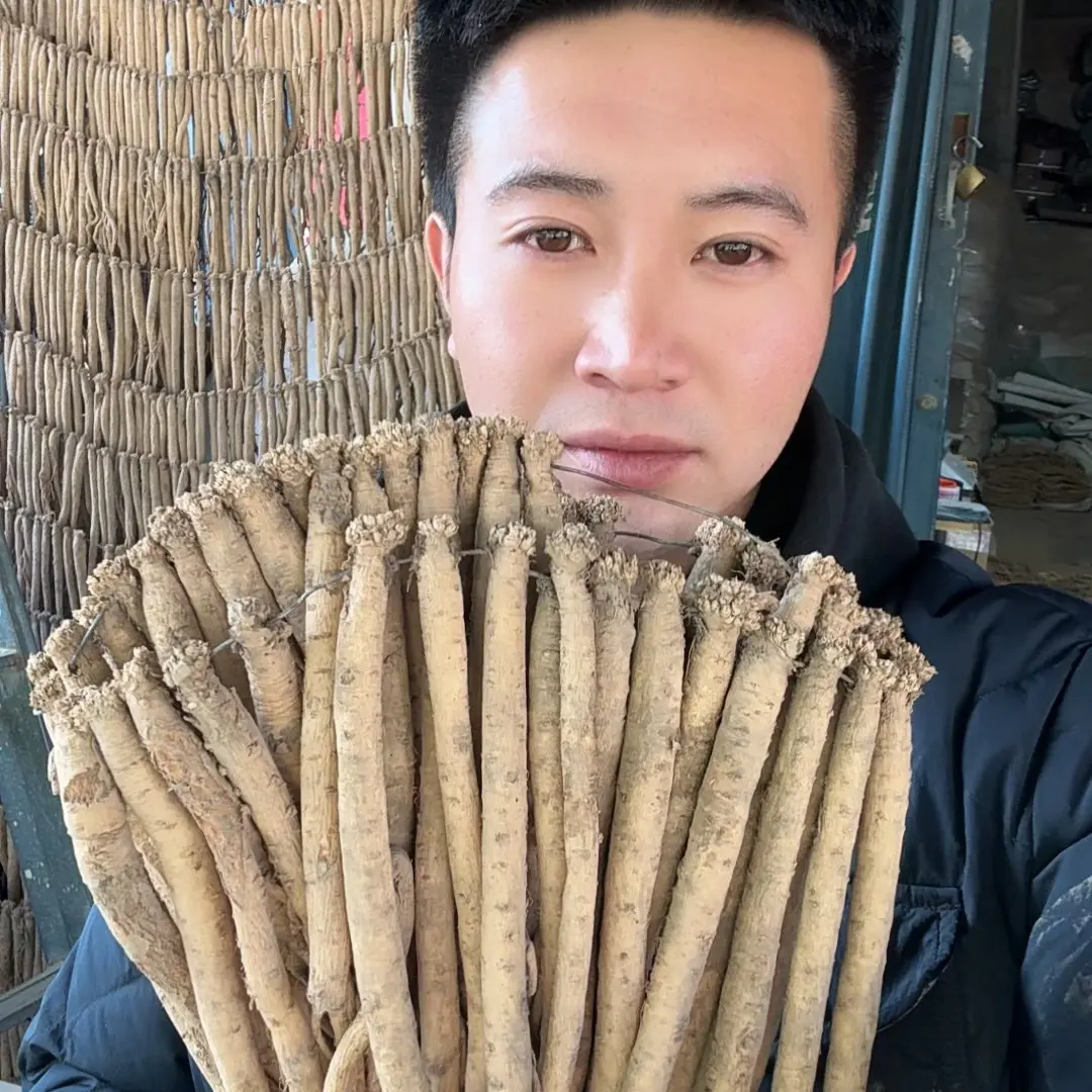 甘肃渭源2025新党参可炖鸡炖鸭炖排骨滋补养生