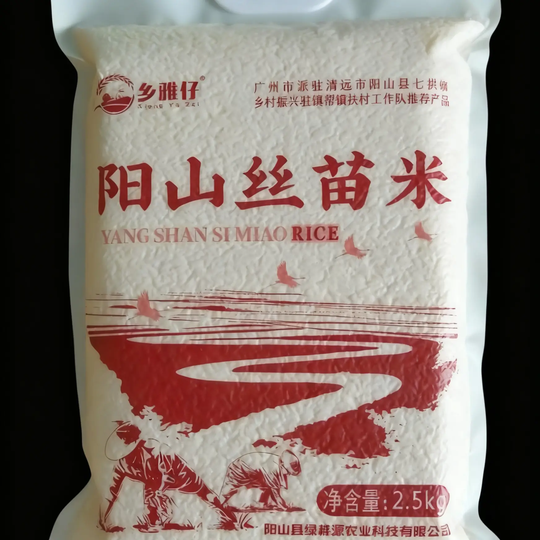 清远阳山丝苗米长粒新米煮饭清香口感软糯