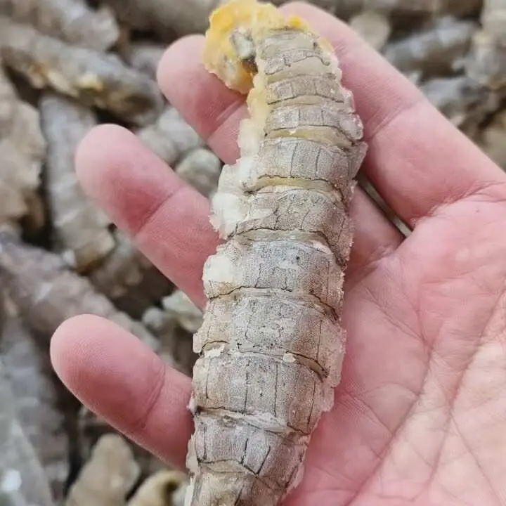 特大号手工现剥海捕去壳皮皮虾肉冷链发货