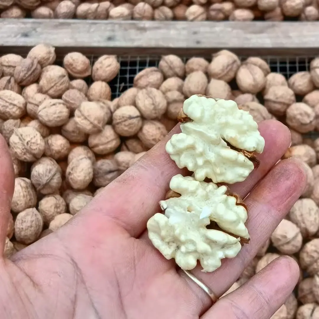 云南武定老树薄皮干核桃原生态原味