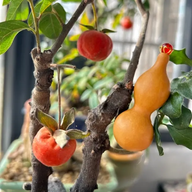 文玩小葫芦绕指柔卡6.2