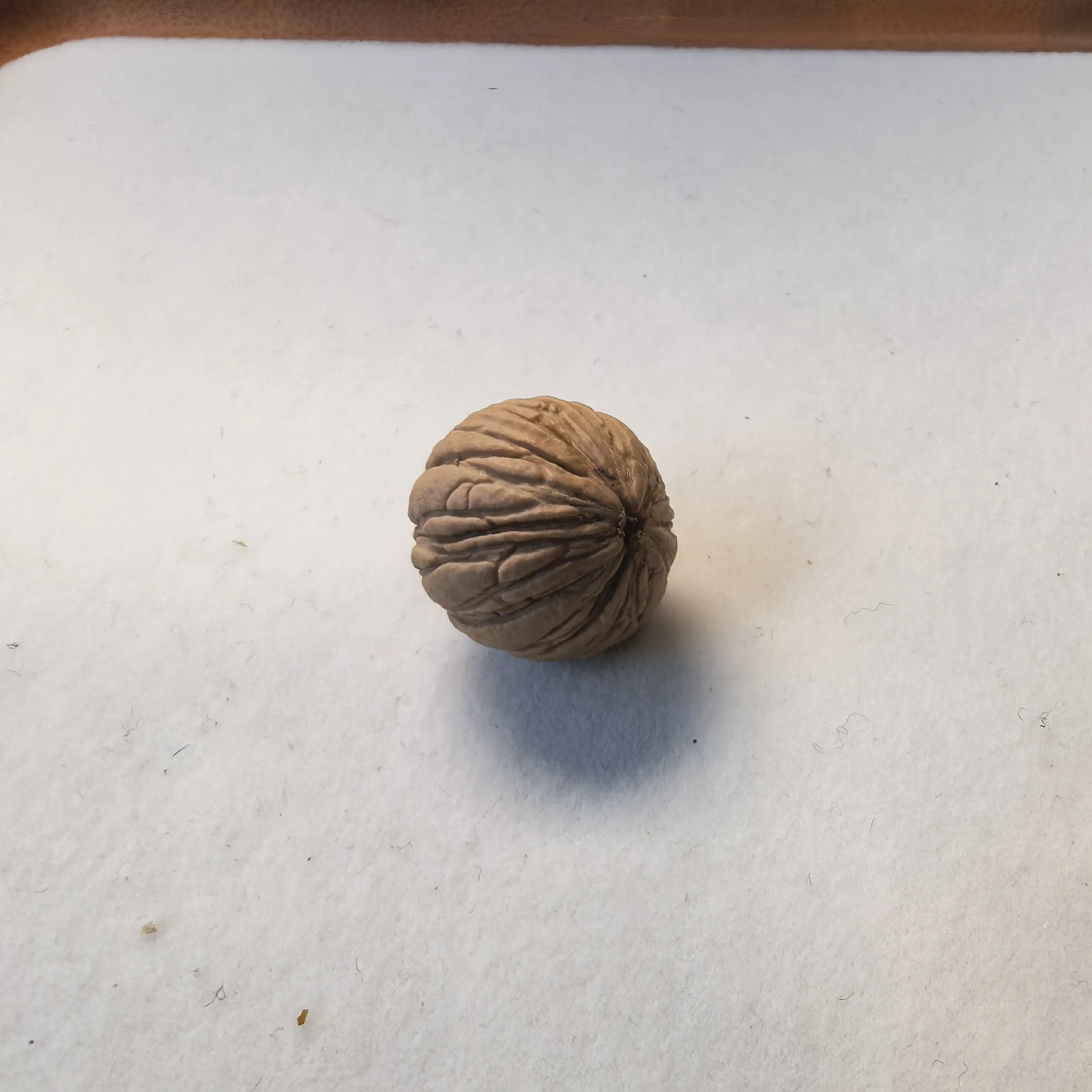 天然精工无修猴头核桃文玩凤羽男士单圈盘玩手串